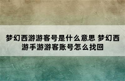 梦幻西游游客号是什么意思 梦幻西游手游游客账号怎么找回